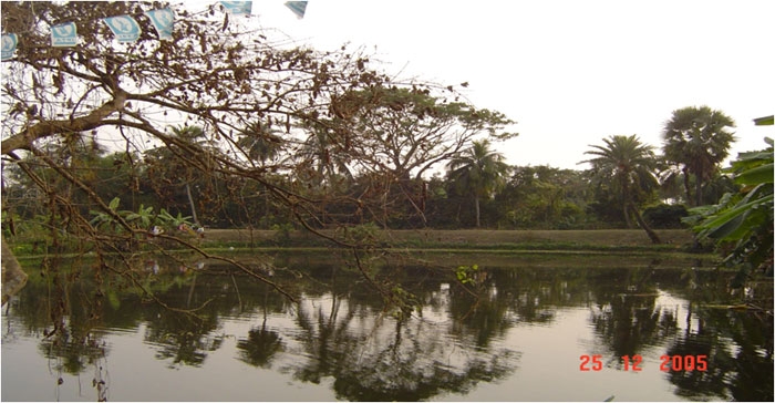 Village Rajbari, near the clinic